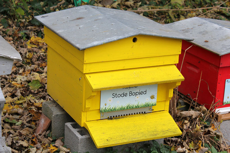 La ruche Stode Bopied